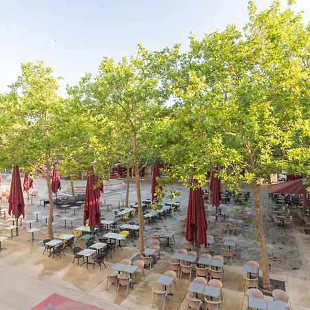 Le Carnot Large 2-room Beautiful View 4 People * 卡尔卡松